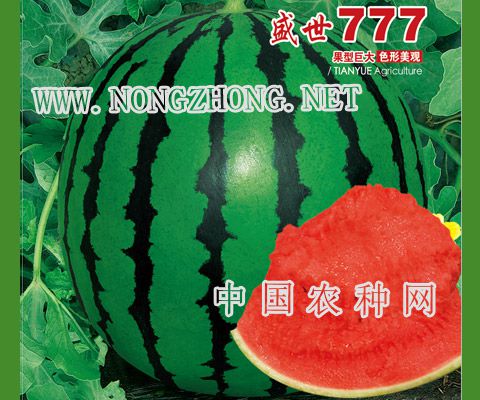 盛世777